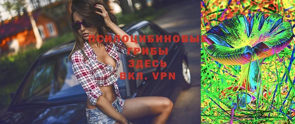 спайс Арсеньев