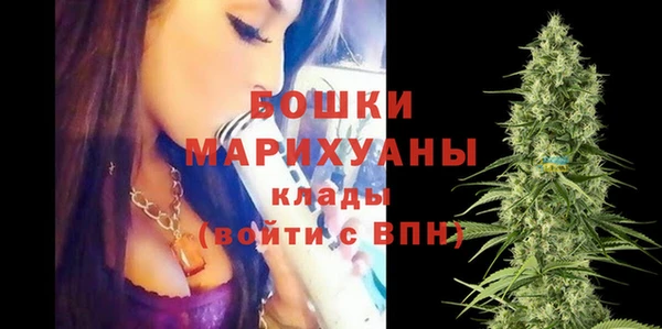 спайс Арсеньев