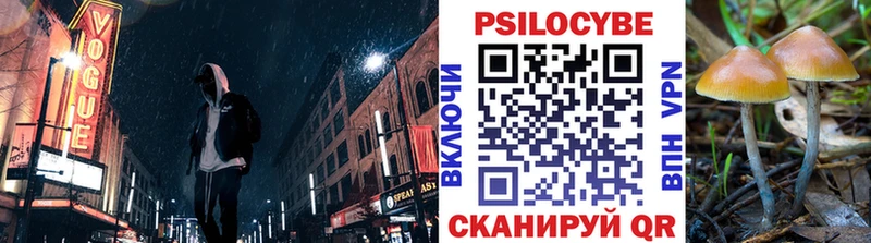 Галлюциногенные грибы Magic Shrooms  нарко площадка какой сайт  Трёхгорный 
